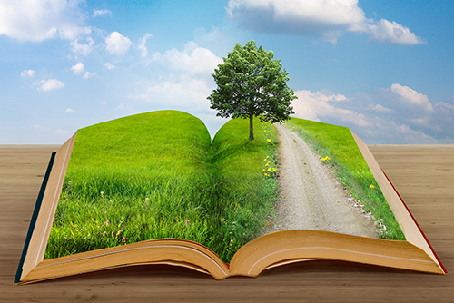 AdobeStock_31245110-72-dpi-500-px.jpg